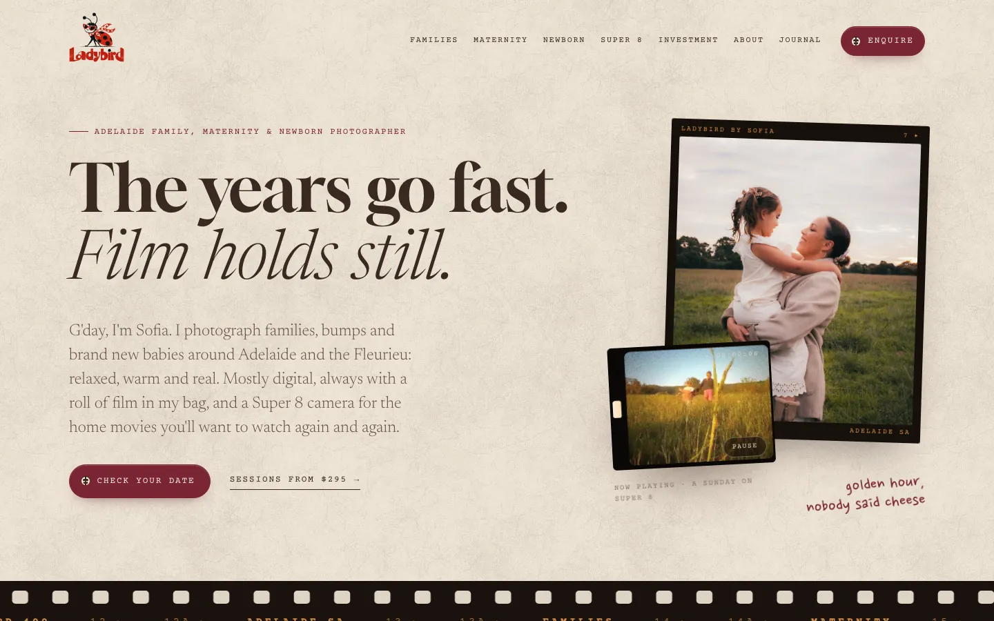 Ladybird Family website home page